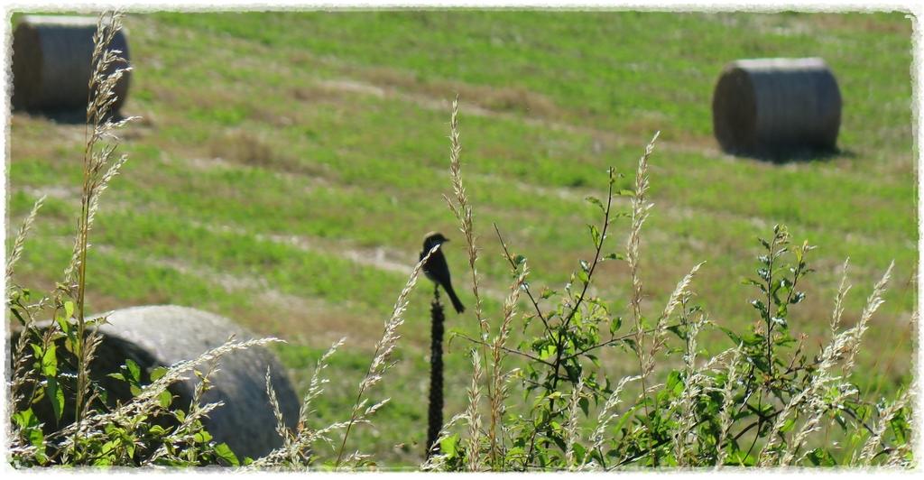 Bellenot-sous-Pouilly