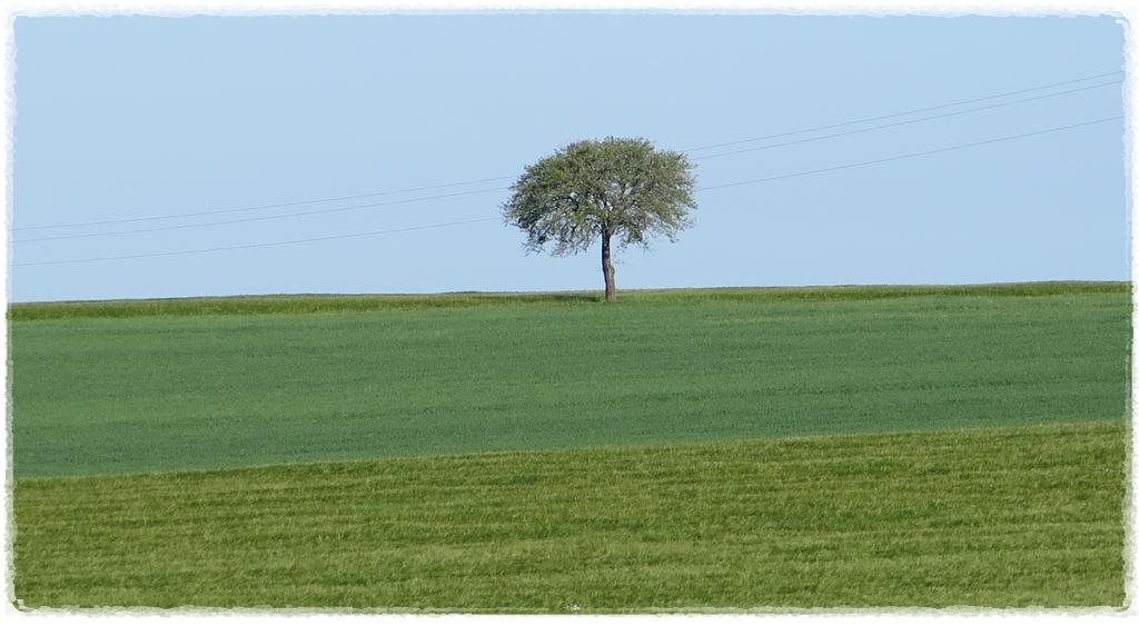 Bellenot-sous-Pouilly