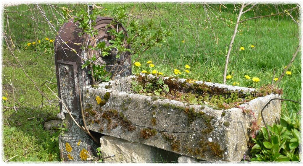 Bellenot-sous-Pouilly