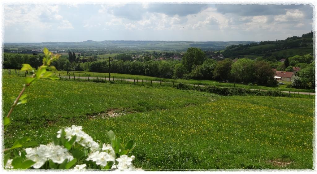 Bellenot-sous-Pouilly